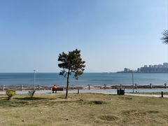 -星光岛