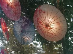 -海韵人家.海景花园经典云南菜(双廊店)