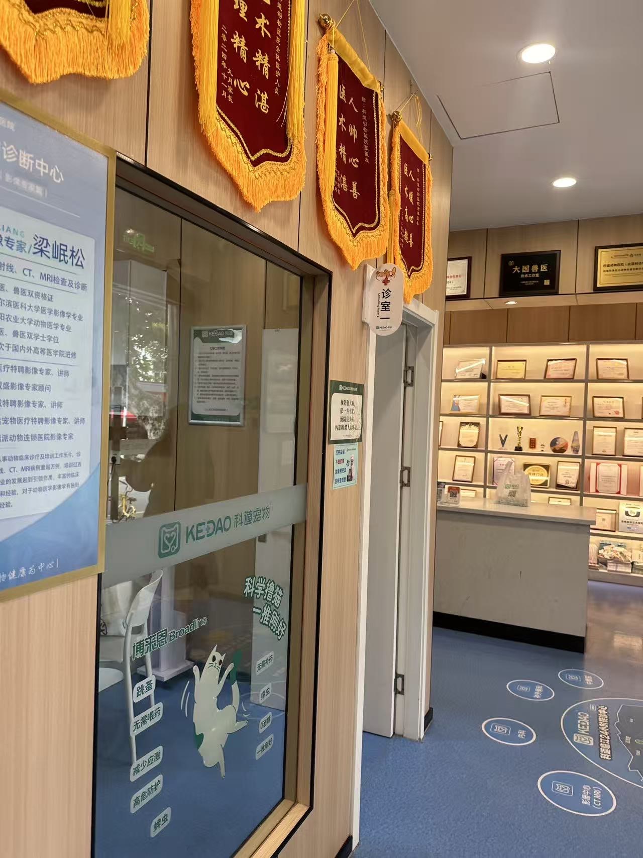 望京醫(yī)院陪診協(xié)助掛號就醫(yī)全程專人照料，省心又安心的簡單介紹