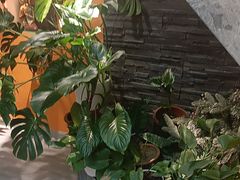 -泰古龙抓龙筋·spa按摩(静安店)