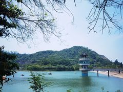 -水濂山森林公园