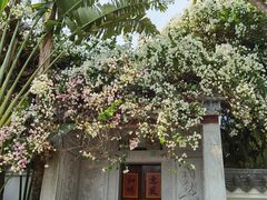 -深圳国际园林花卉博览园