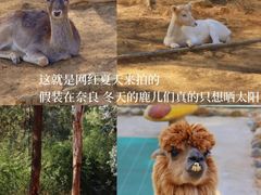 -云南野生动物园