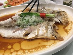 -凤栖酒店