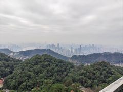 -大金鹰园