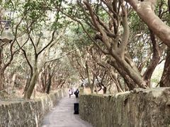 -普陀山风景区-佛顶山