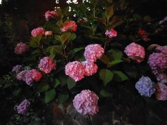 -杭州西湖风景名胜区-满觉陇四眼井