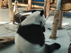 -柳州市动物园