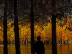 -白鹭湾湿地公园