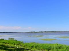 -呼兰河口湿地公园