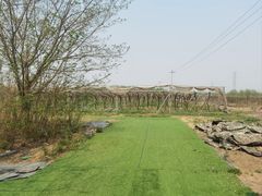 -亲兄弟真人CS团建拓展基地