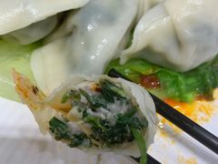 荠菜鮮肉餃-袁记云饺(蛇口店)