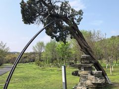 -南北湖风景区