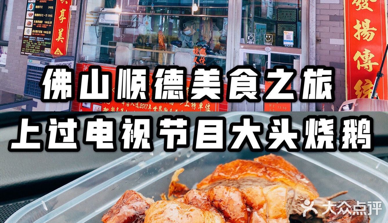 上过电视节目的大头烧鹅