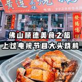 上过电视节目的大头烧鹅