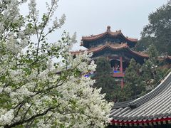-皇家御河游(紫御湾码头)