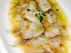 酱椒鮰鱼翅-破店(井大店)