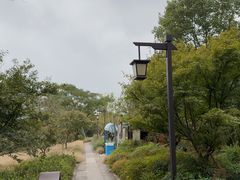 -长兴太湖图影湿地文化园