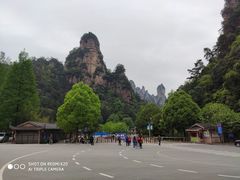 -猪脑壳凉面(武陵源店)