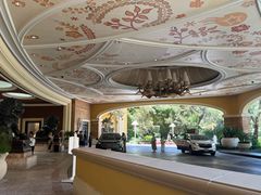 -拉斯维加斯永利酒店