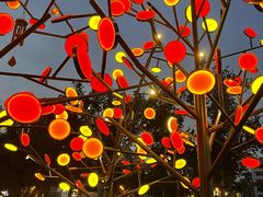 -视界美食自助餐厅·石家庄希尔顿酒店