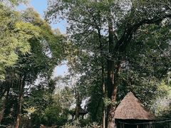 -成都杜甫草堂博物馆