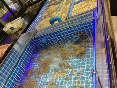 -锅儿欢海鲜火锅烤肉自助餐(东港凯虹店)