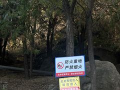 -白水寺森林公园