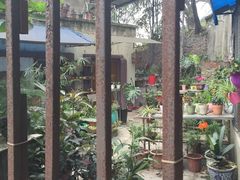 iphone_upload_pic-黄葛古道