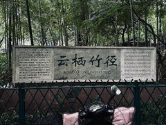 -云栖竹径