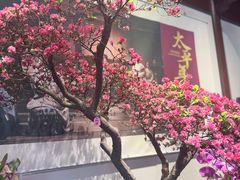-钱王祠