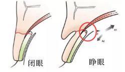 -成都军建医院·医疗整形
