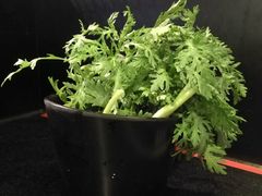 -九鼎轩脆毛肚火锅(商业街店)