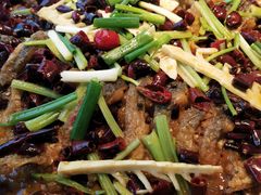 -老板恋上鱼(恒隆广场店)