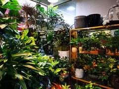 -合肥市裕丰花鸟虫鱼市场-F区