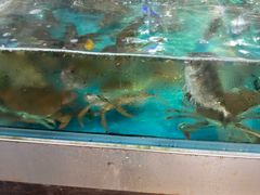 -荔城生鲜盛宴(番禺旗舰店)