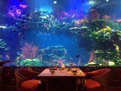 -迪拜帆船酒店海底餐厅