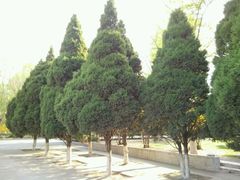 android_upload_pic-辽宁大学(崇山校区)
