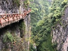 -鹿院坪生态旅游景区