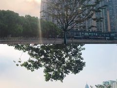 -西北湖绿化广场