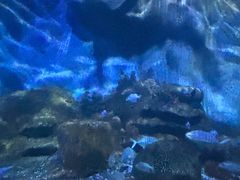 -厦门海底世界