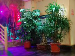-沐熙汤泉(新安里店)