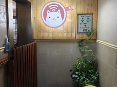 -楼上猫咖(罗湖店)