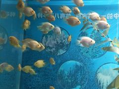 -福州罗源湾海洋世界旅游区