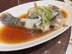 -绿雅酒家(江西中路店)