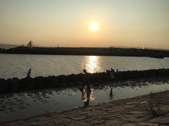 -南汇嘴观海公园