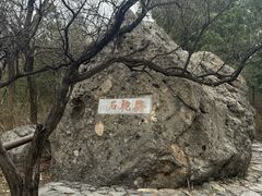 -阳台山自然风景区