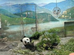 -上海野生动物园