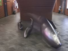 -砂之船奥莱(南京江宁店)