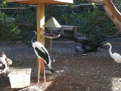 -费瑟代尔野生动物园